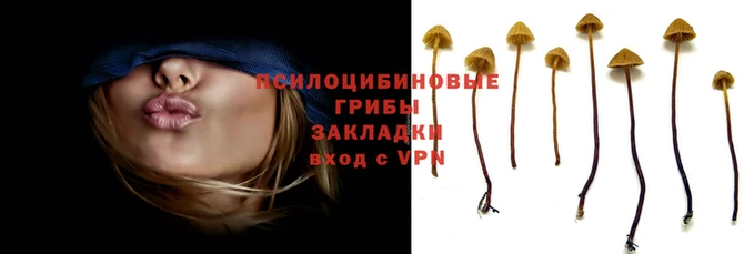 амфетамин Алзамай