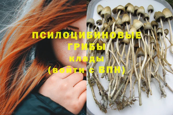 ГАЛЛЮЦИНОГЕННЫЕ ГРИБЫ Алексеевка